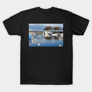 Geneva Harbour T-Shirt